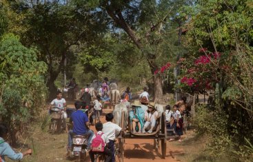 village ox-cart ride.jpg